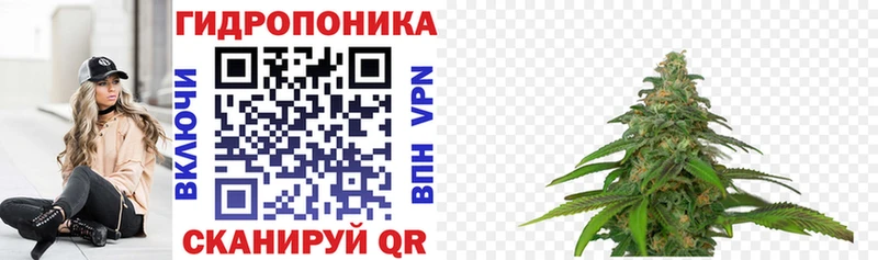 Купить закладки Саки Конопля SATIVA & INDICA